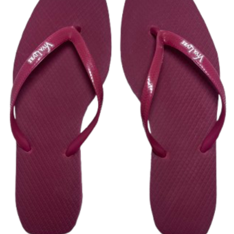 Chinelo Coleção Elegância Feminino