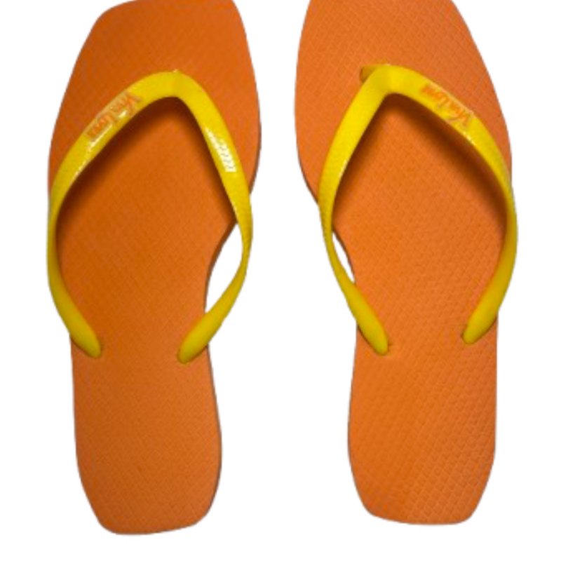 Chinelo Coleção Elegância Feminino