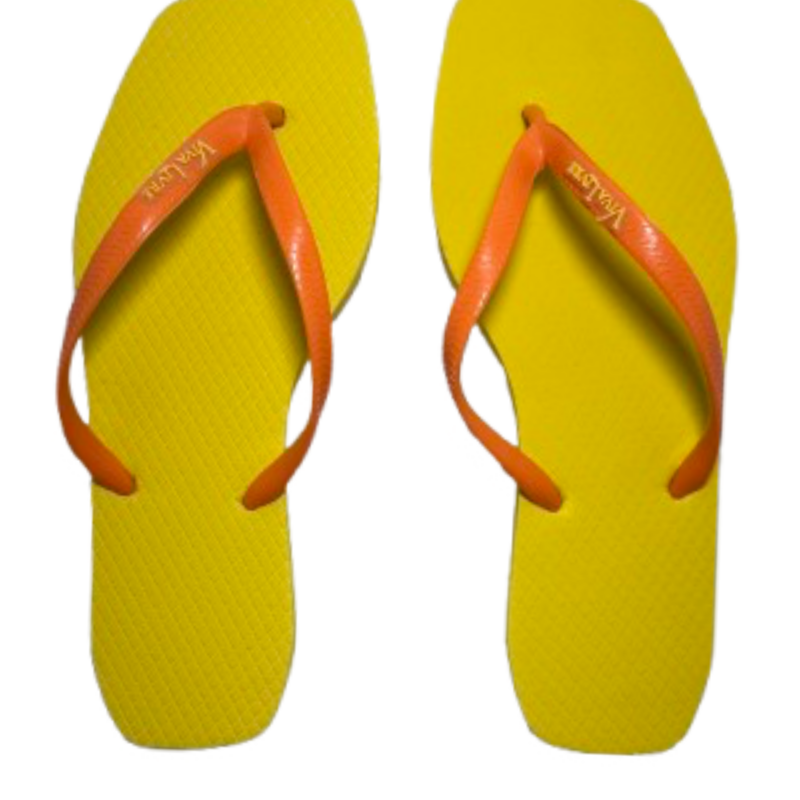 Chinelo Coleção Elegância Feminino