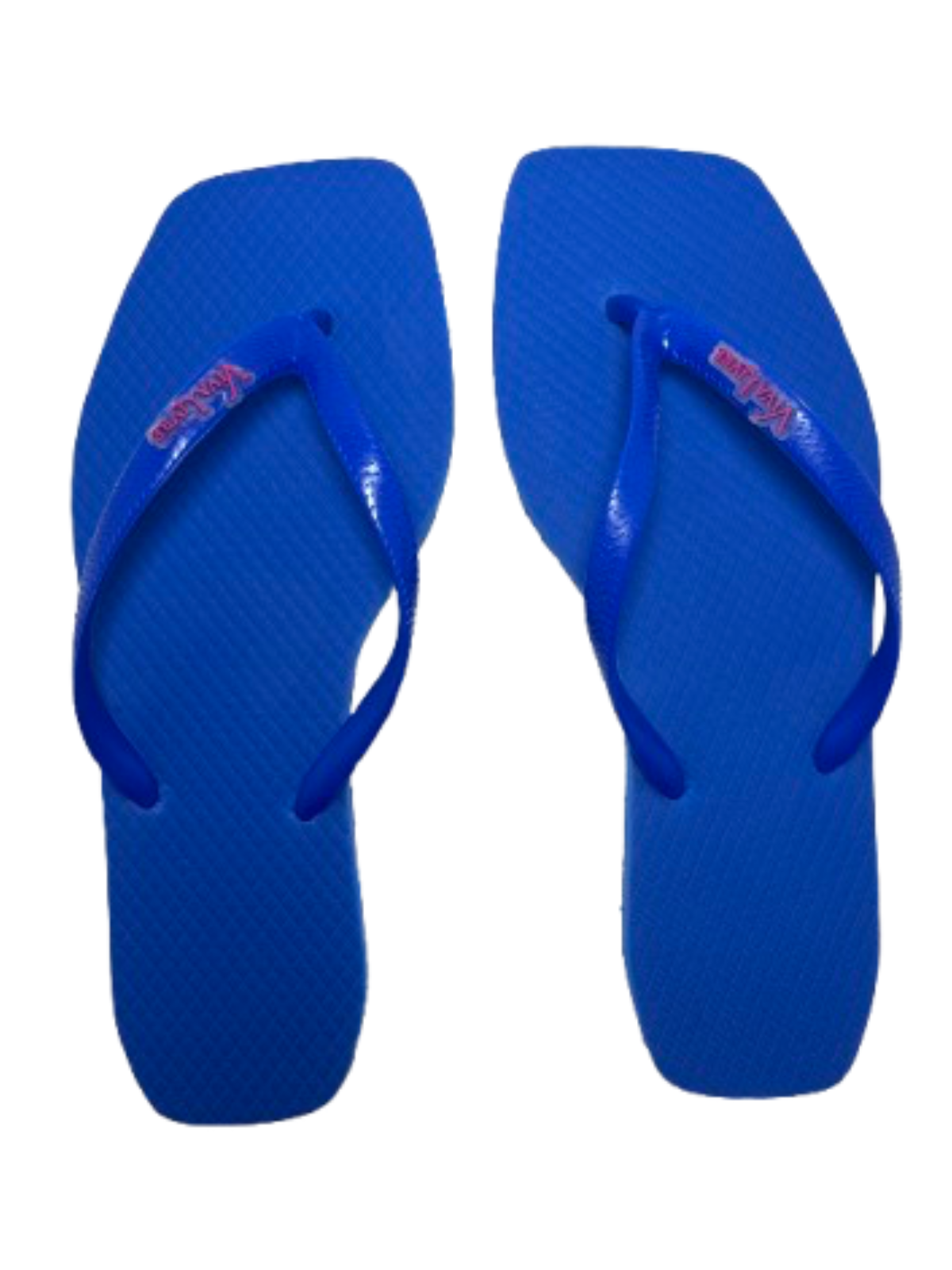 Chinelo Coleção Elegância Feminino