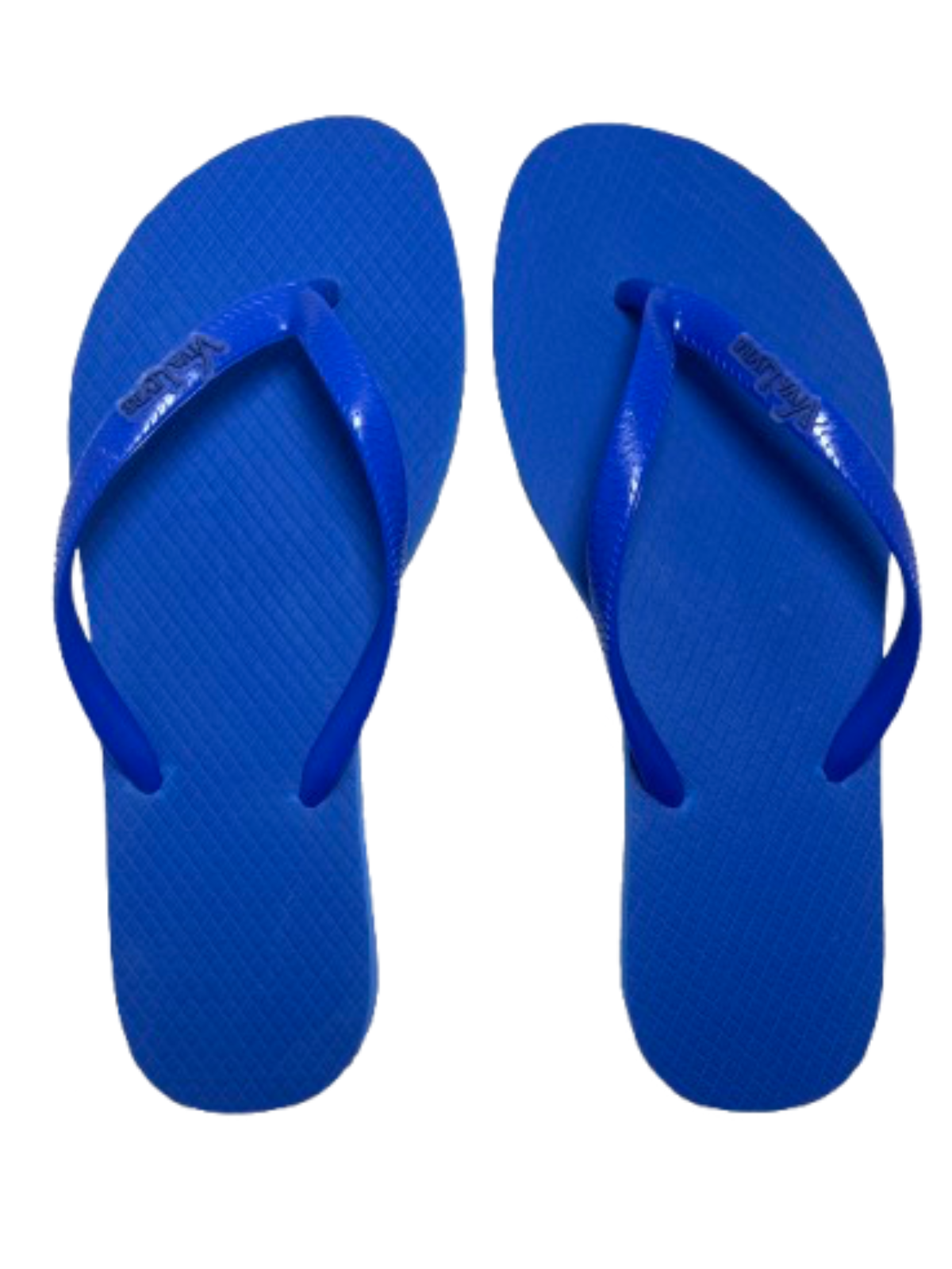 Chinelo Coleção Dia Feminino - Imagem 3