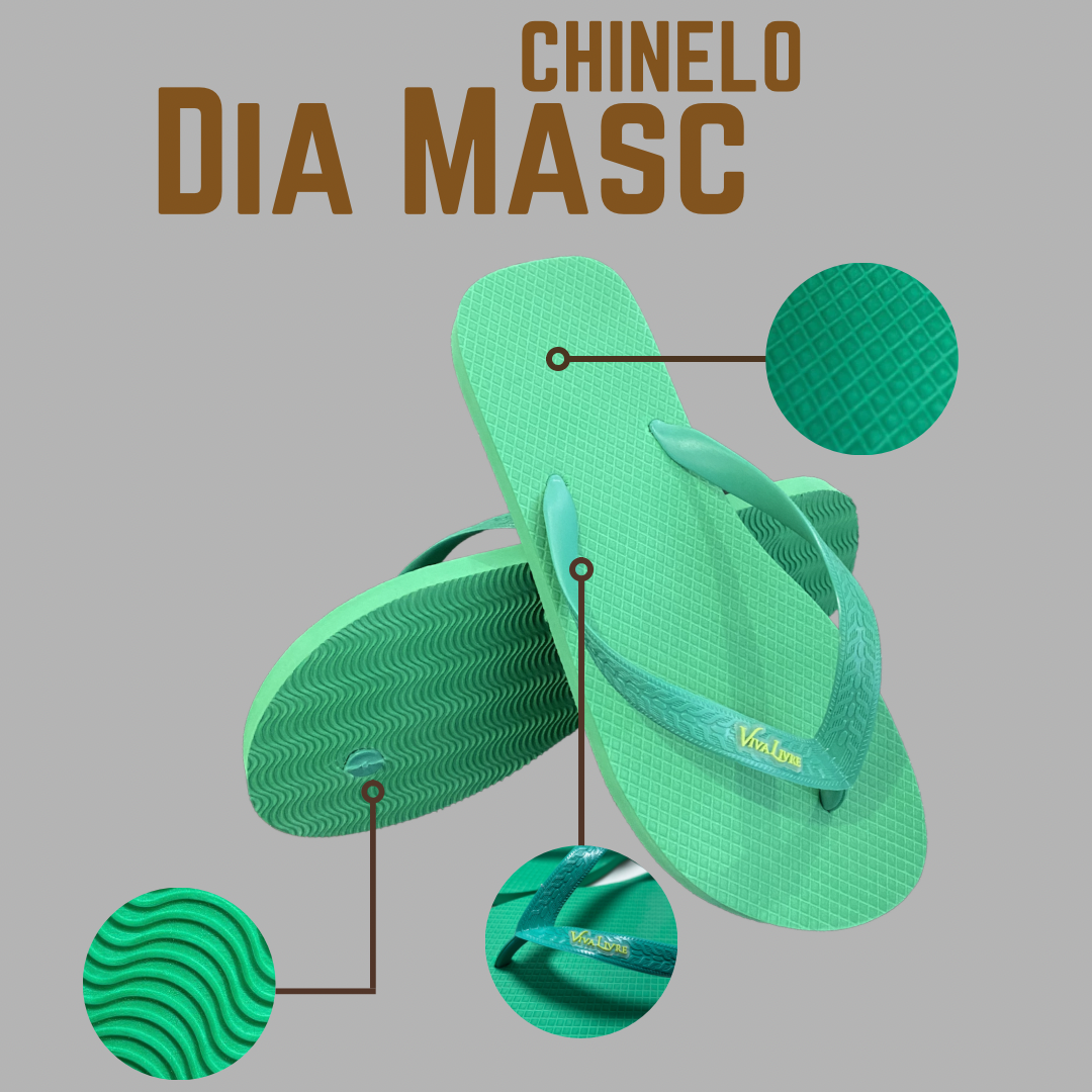 Chinelo Coleção Dia Masculino - Imagem 3
