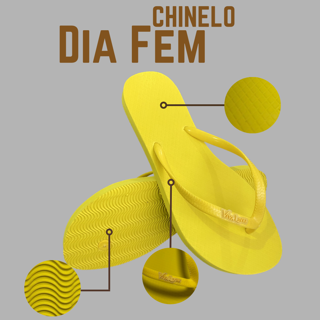 Chinelo Coleção Dia Feminino - Imagem 2