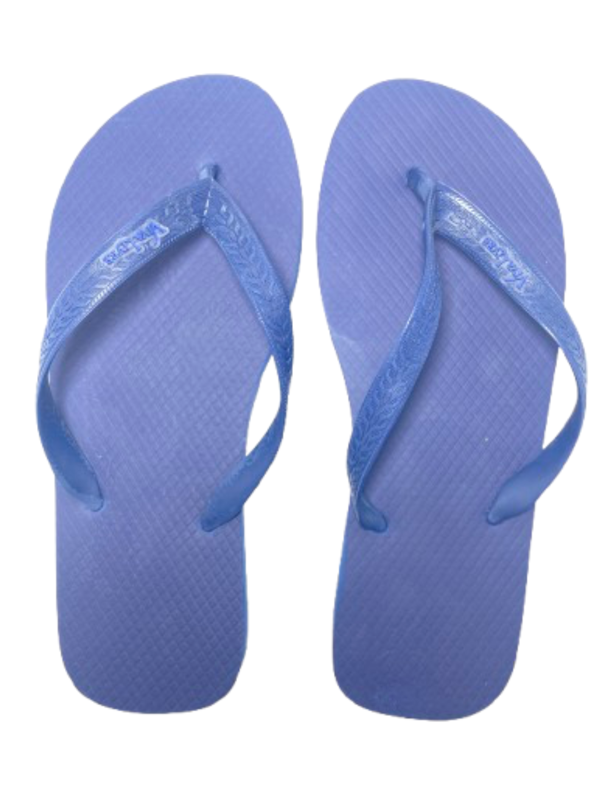 Chinelo Coleção Dia Masculino - Imagem 2