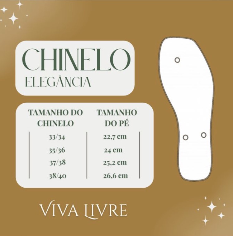 Chinelo Coleção BRASIL Elegância Feminino - Imagem 13
