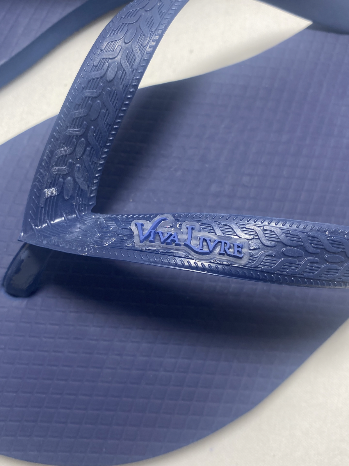 Chinelo Coleção Dia Masculino