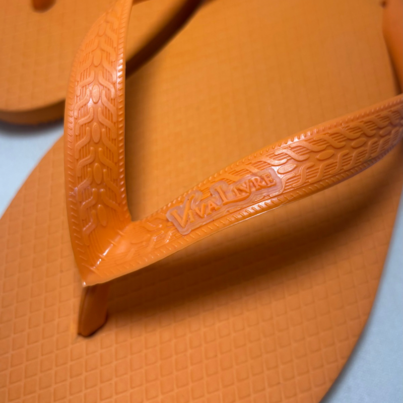 Chinelo Coleção Dia Masculino