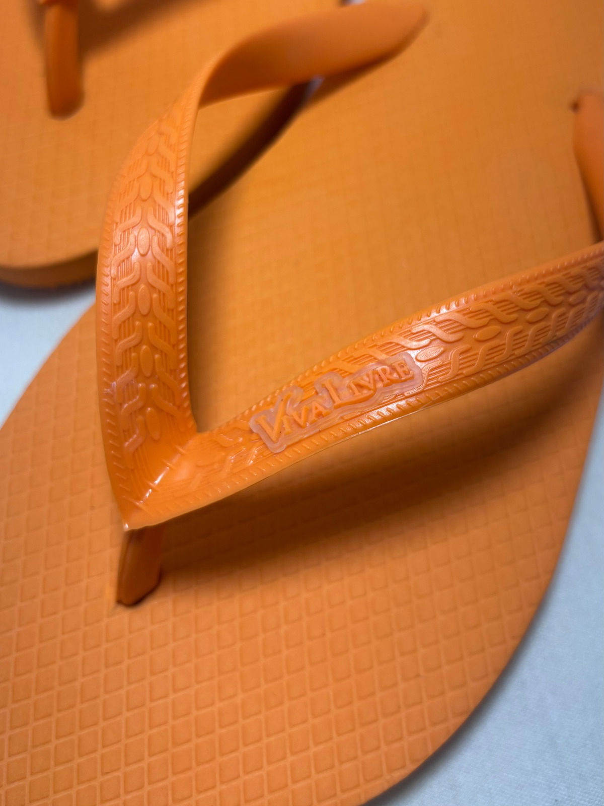 Chinelo Coleção Dia Masculino