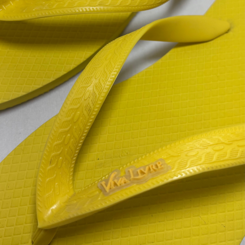 Chinelo Coleção Dia Masculino