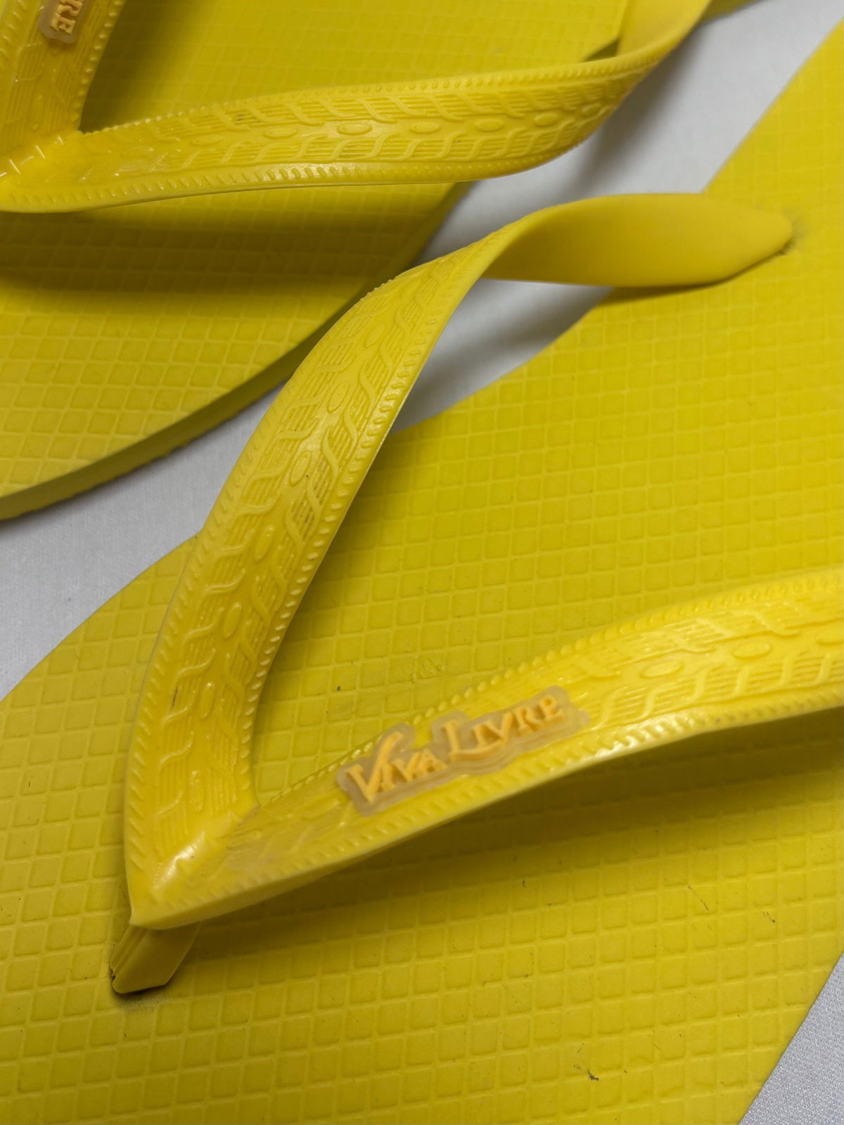 Chinelo Coleção Dia Masculino