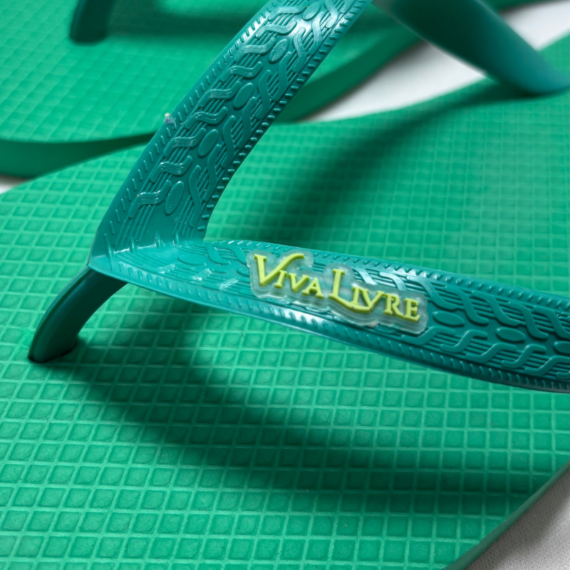 Chinelo Coleção Dia Masculino