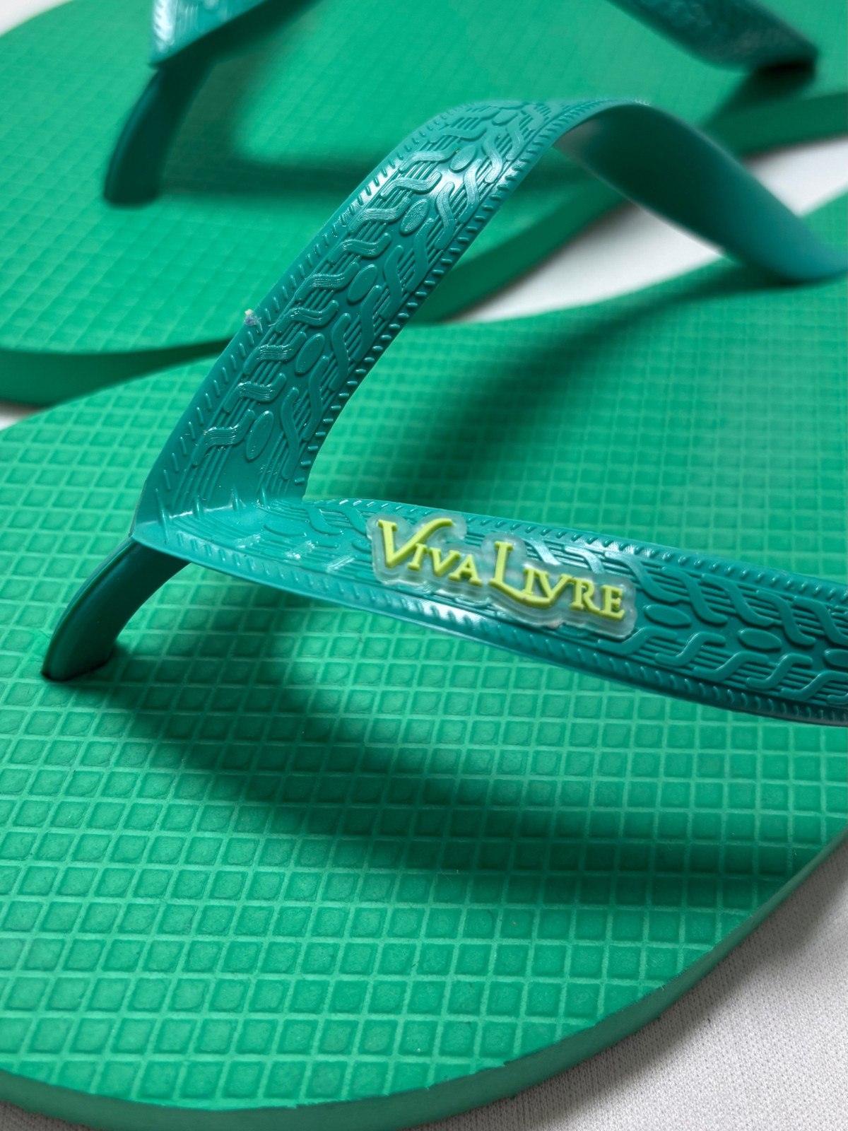 Chinelo Coleção Dia Masculino