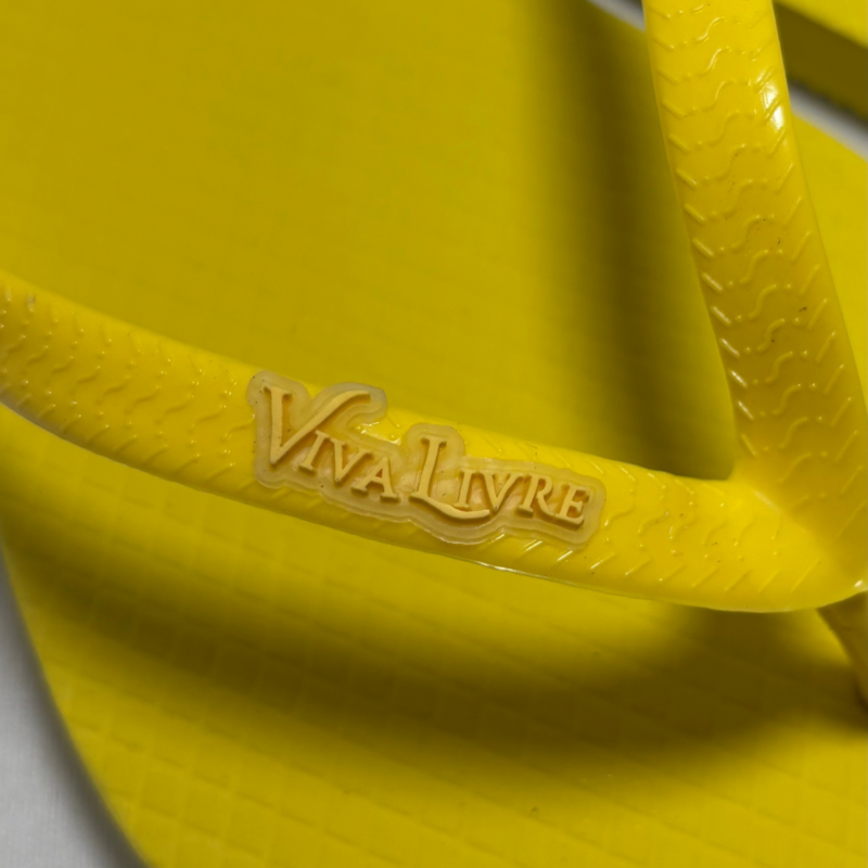 Chinelo Coleção Dia Feminino