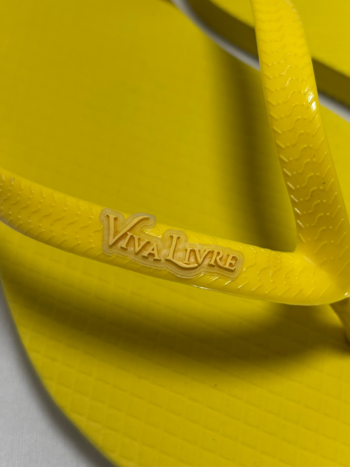 Chinelo Coleção Dia Feminino