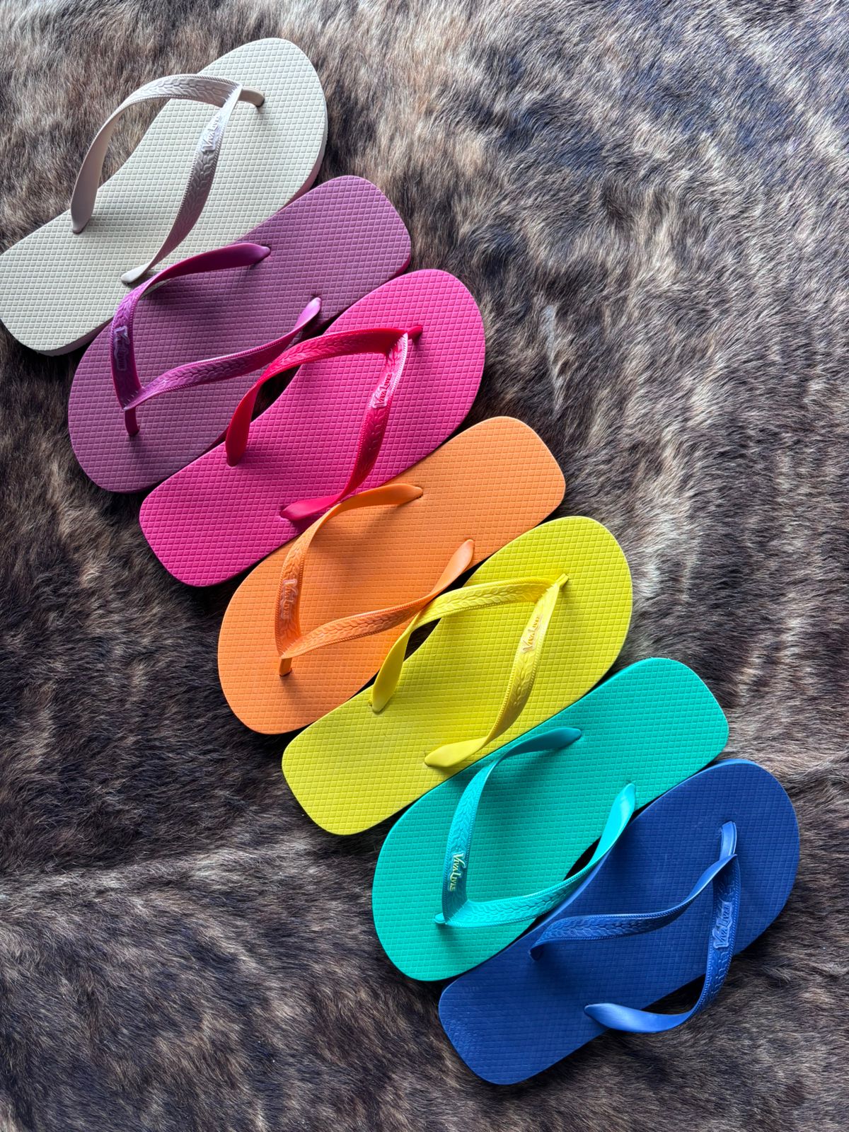 Cores para seus Dias.